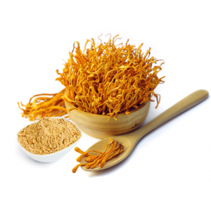 Tìm hiểu bản chất cao đông trùng hạ thảo Cordyceps