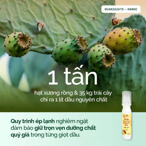 Tinh Chất Hữu Cơ Dưỡng Da Mắt. Dầu Hạt Xương Rồng Pháp. Chống Lão Hóa Mờ Thâm Giảm Nếp Nhăn Da 15ml