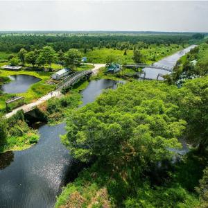 Rừng U Minh: Kỳ Quan Thiên Nhiên Với Hệ Sinh Thái Độc Đáo