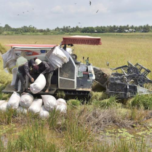 Tỉnh Ủy Kiên Giang Điều Chỉnh Một Số Chỉ Tiêu, Bổ Sung Nhiệm Vụ, Giải Pháp Phát Triển Kinh Tế - Xã Hội Năm 2025