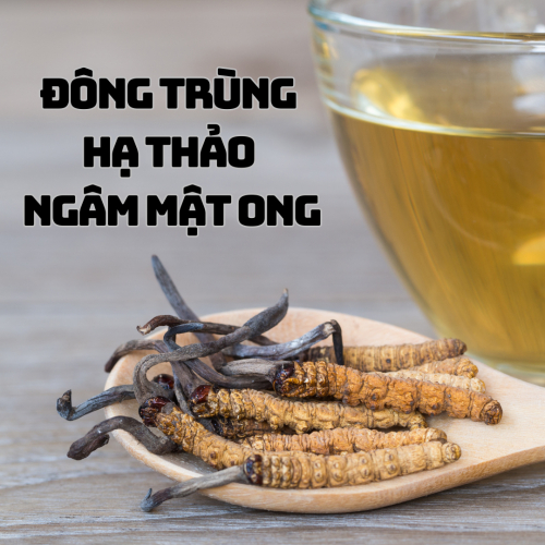 Đông Trùng Hạ Thảo Ngâm Mật Ong - Thần Dược Từ Thiên Nhiên